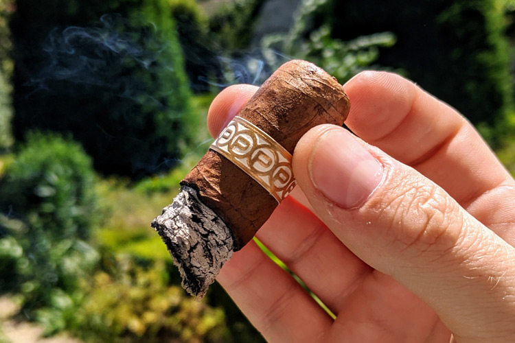 Plasencia Reserva Original Cigar Final Third