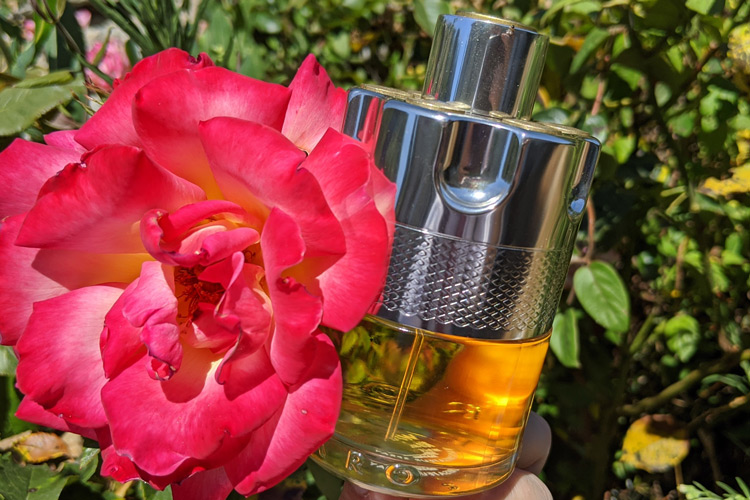 Azzaro Wanted & Rose