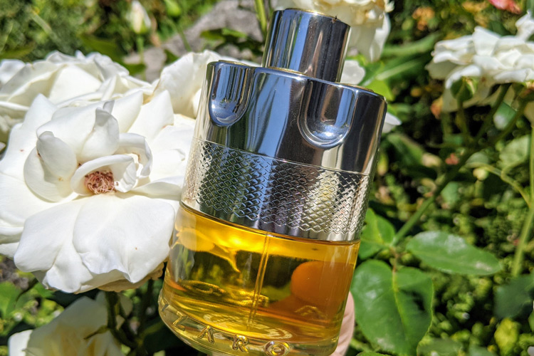 Azzaro Wanted & White Rose