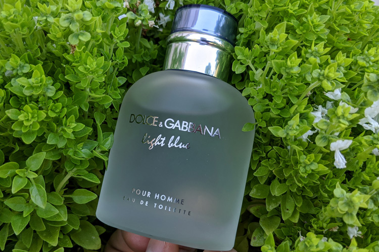 Dolce & Gabbana Light Blue & Basil