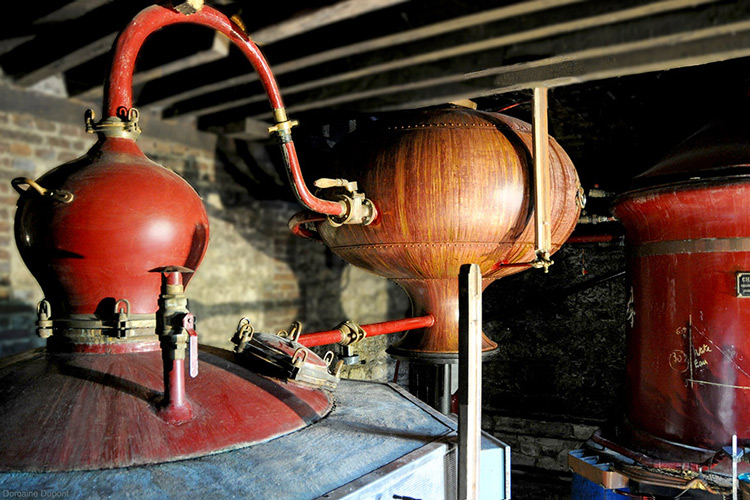 Dupont Copper Pot Calvados Still