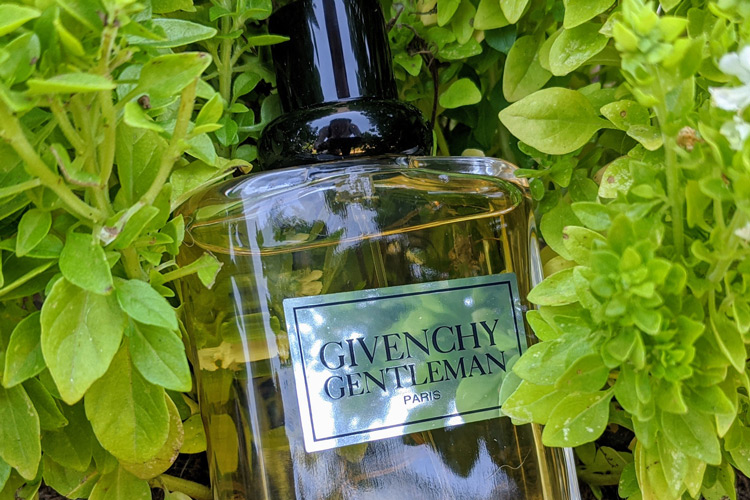 Givenchy Gentleman In Basil