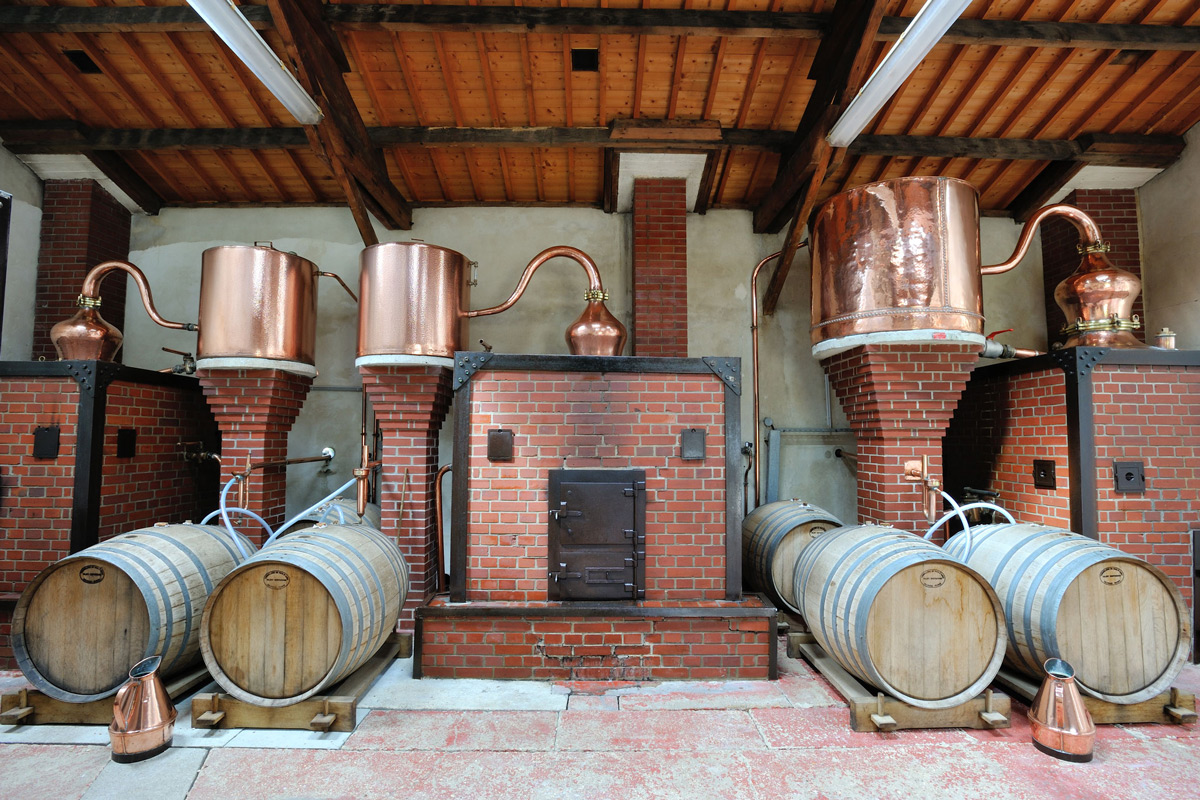 How Calvados Is Made Roger Groult