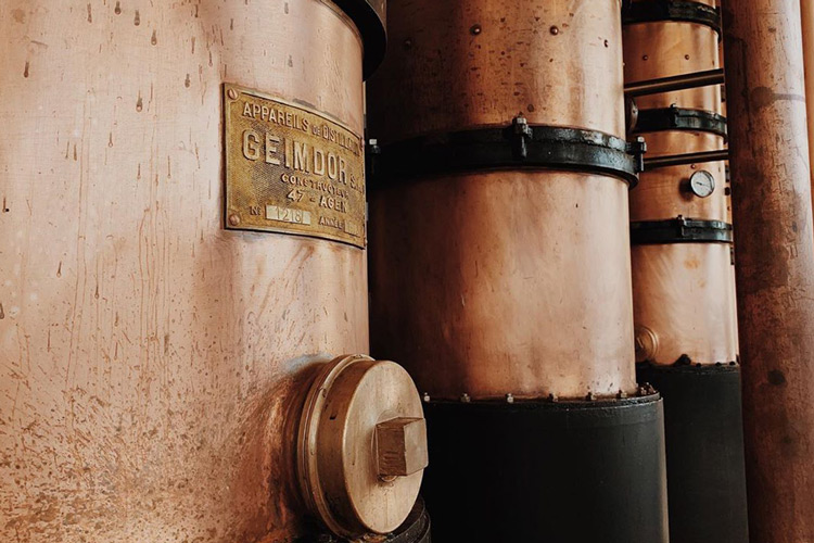 Père Magloire Column Still