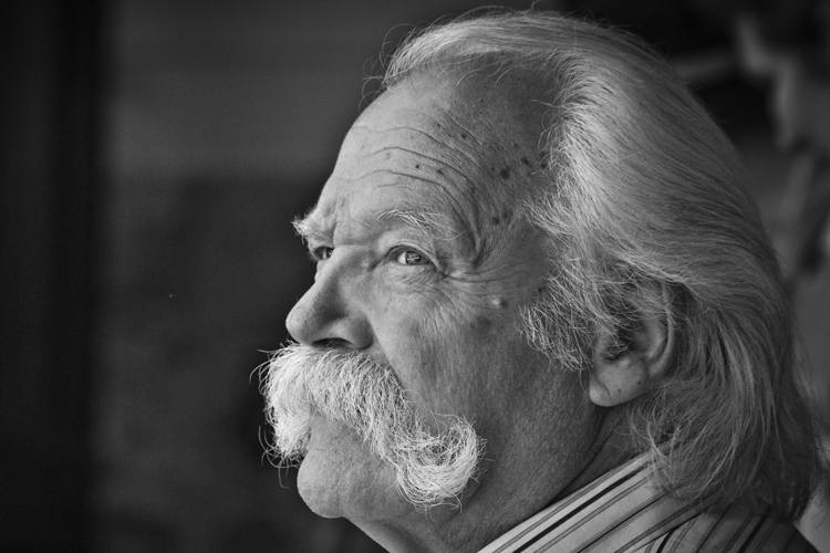 What Is A Handlebar Mustache Walrus