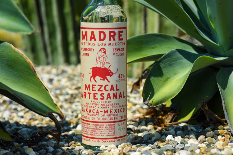 Bottle Of Mezcal