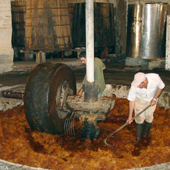 Fortaleza Crushing Agave