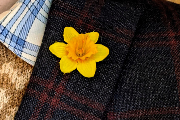 Marie Curie Poppy Appeal Lapel Flower