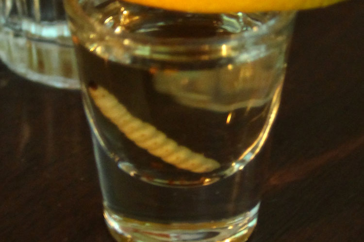 Mezcal With Worm by Bex Walton, CC2