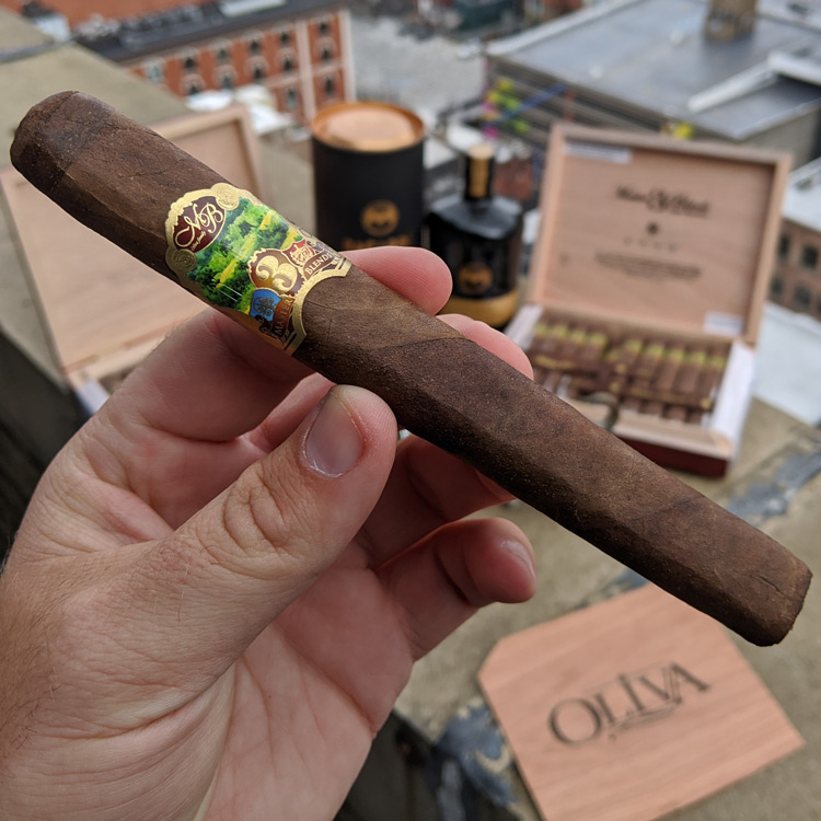 Oliva Master Blends 3 Cigar Look & Feel