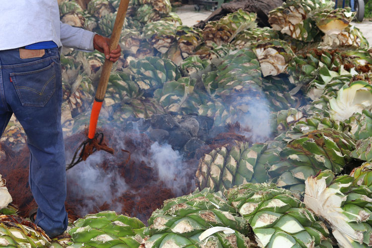 Roasting Mezcal Piñas