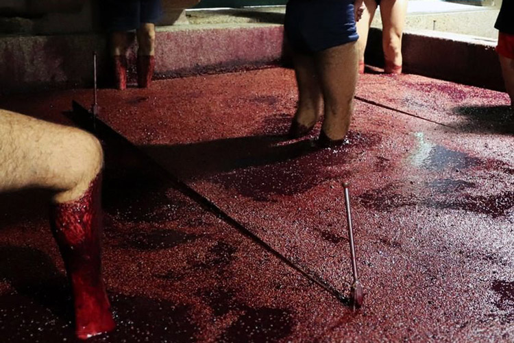 Churchill's Foot Treading Port Wine