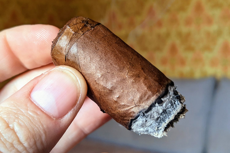 Perdomo 20th Anniversary Sun Grown Cigar Final Third