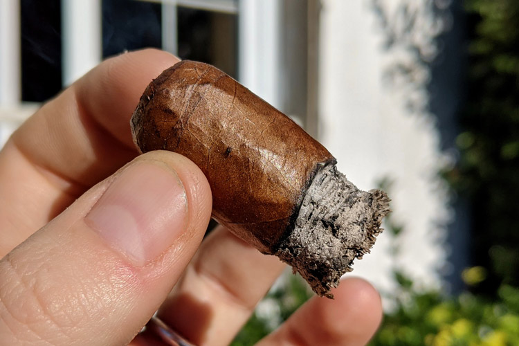 Plasencia 146 Cosecha Cigar Final Third