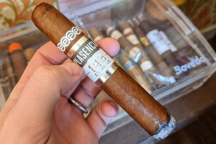 Plasencia 146 Cosecha Cigar First Third