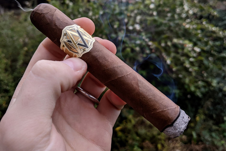 Avo Classic Cigar First Third