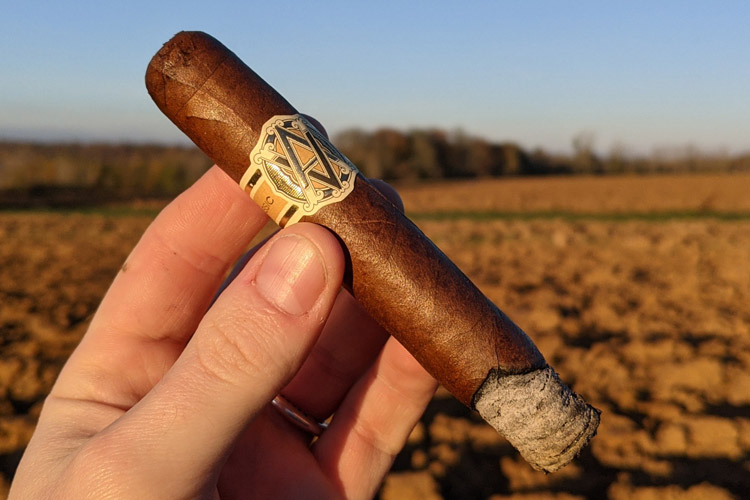 Avo Classic Cigar Outside