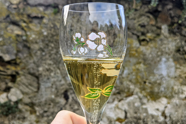 Bollinger Special Cuvée Champagne Robe & Perlage