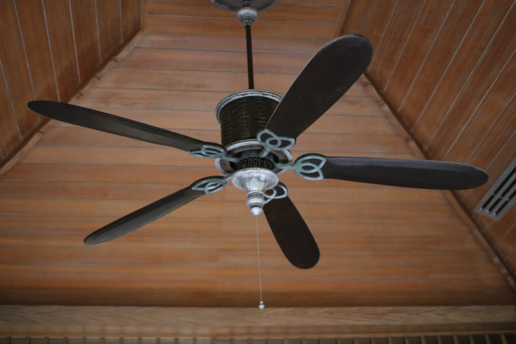 Ceiling Fan For Walk-In Humidor