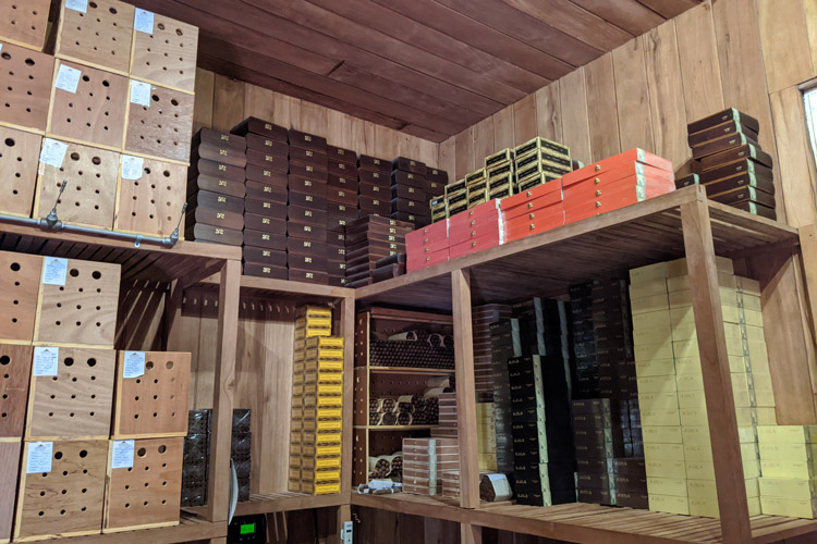 Converted Room Humidor