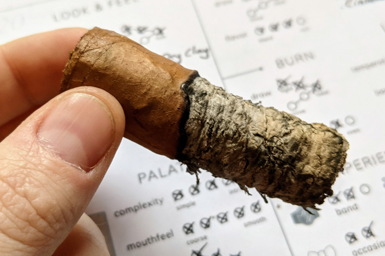 H Upmann Magnum 54 Cigar Final Third