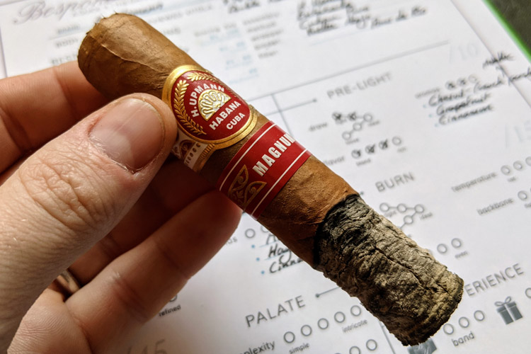 H Upmann Magnum 54 Cigar First Third