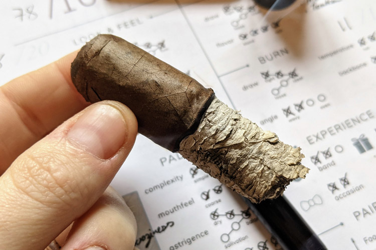 Perdomo Champagne Noir Cigar Final Third