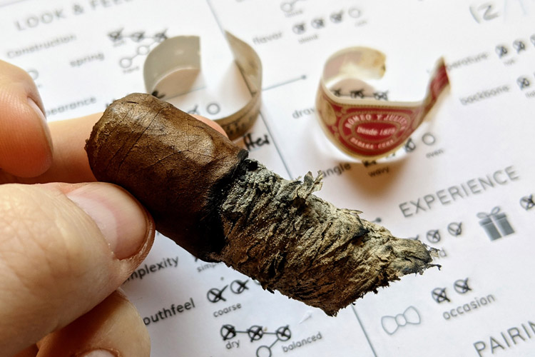 Romeo y Julieta Petit Churchill Cigar Burn Quality