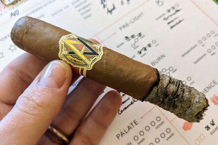 Avo XO Cigar Burn Quality