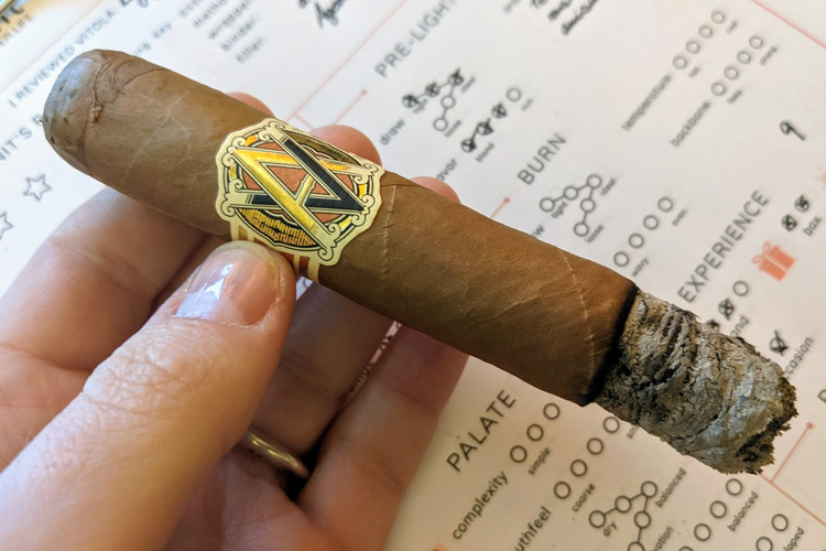 Avo XO Cigar First Third