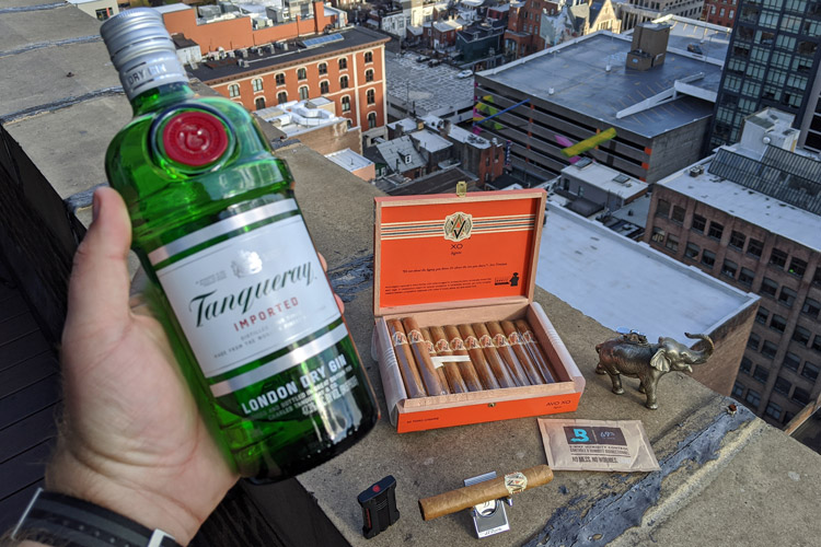 Avo XO Cigar & Gin Pairing