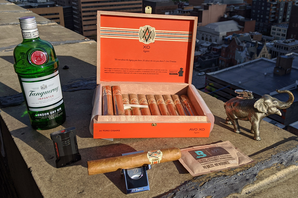 Avo XO Cigar Review