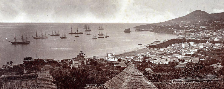 19th Century Photo Of Madeira Island