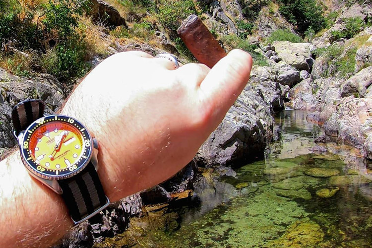 Cigar & Seiko SKX Over Water