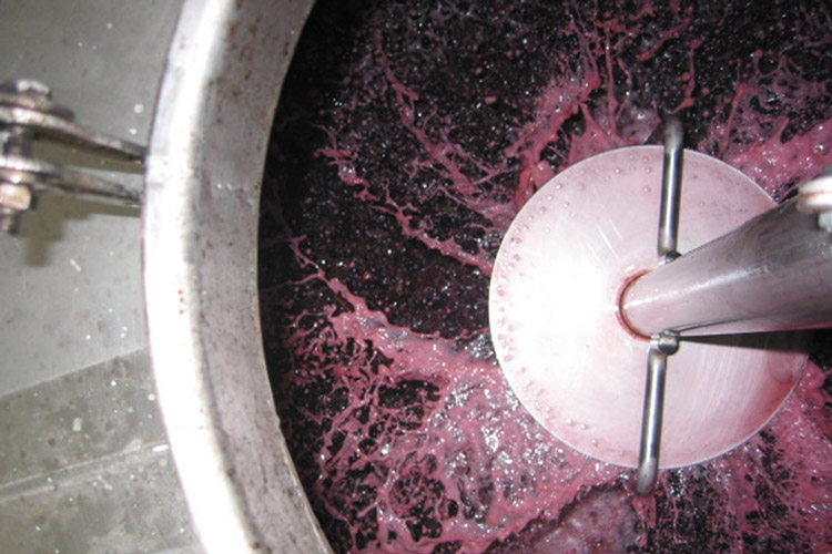 Justino's Madeira Wine Maceration