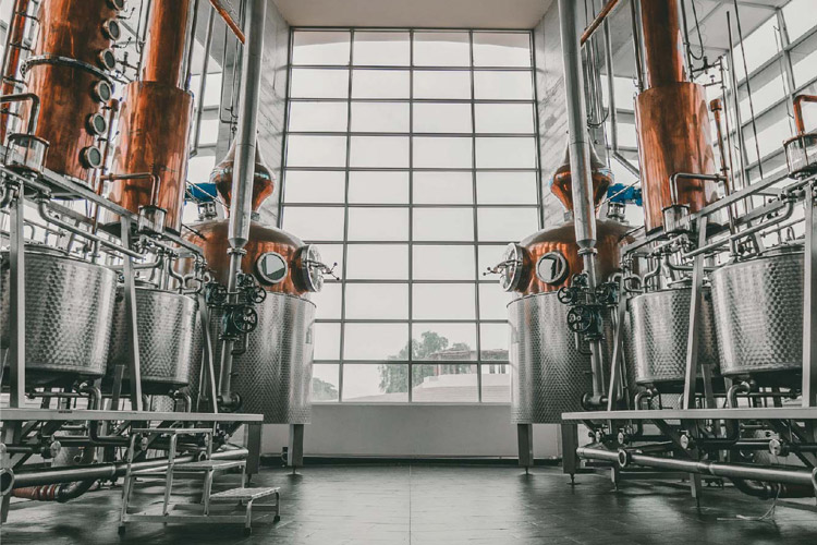 Caravedo Pisco Distillery