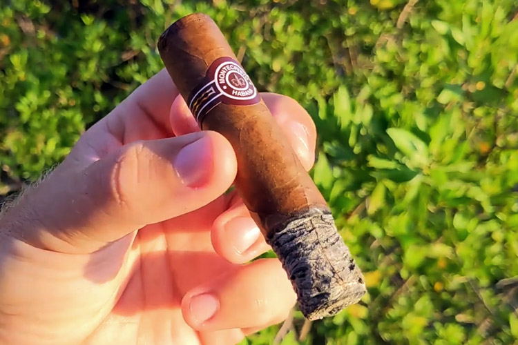 Montecristo Petit Edmundo Cigar Second Third