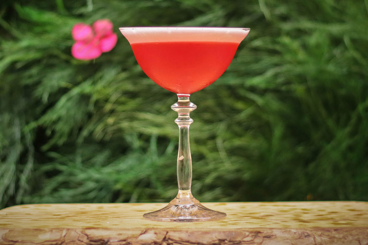 Rosé Champagne Cocktail