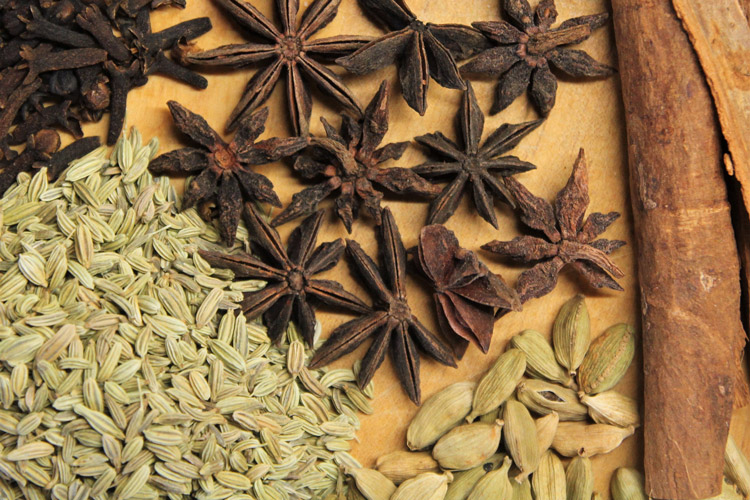 Botanicals For Bitters