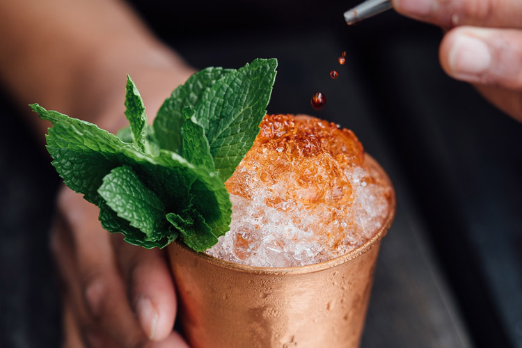Mint Julep Cocktail