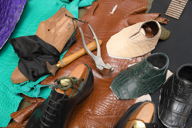 The Last Shoemaker Exotic Skins