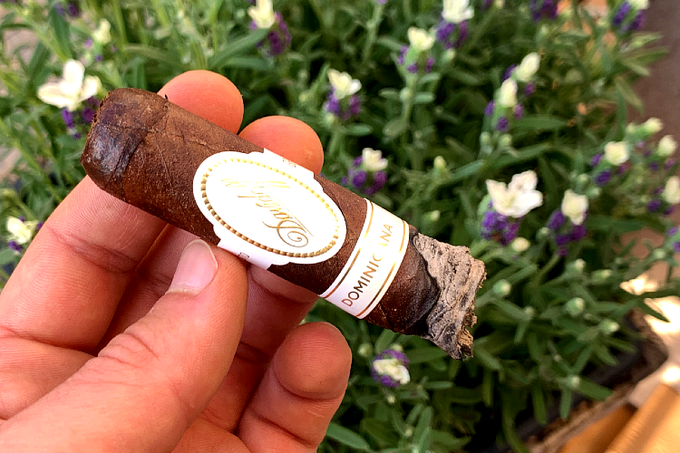 Davidoff-Dominicana-Cigar-Review-2nd-third-smoking-experience