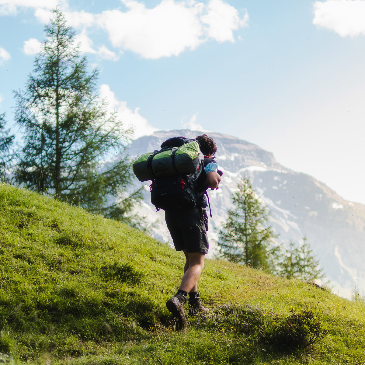 Top 10 Men's Shoes For Walking On Zappos