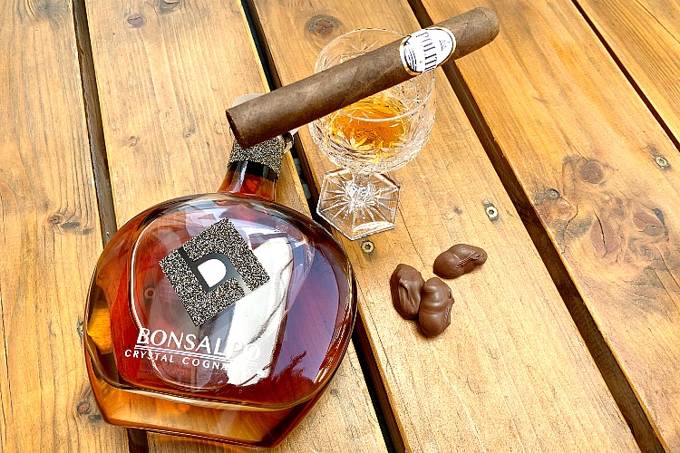 El-Politico-Cigar-Review-Cognac-Bonsalpo-Pairing