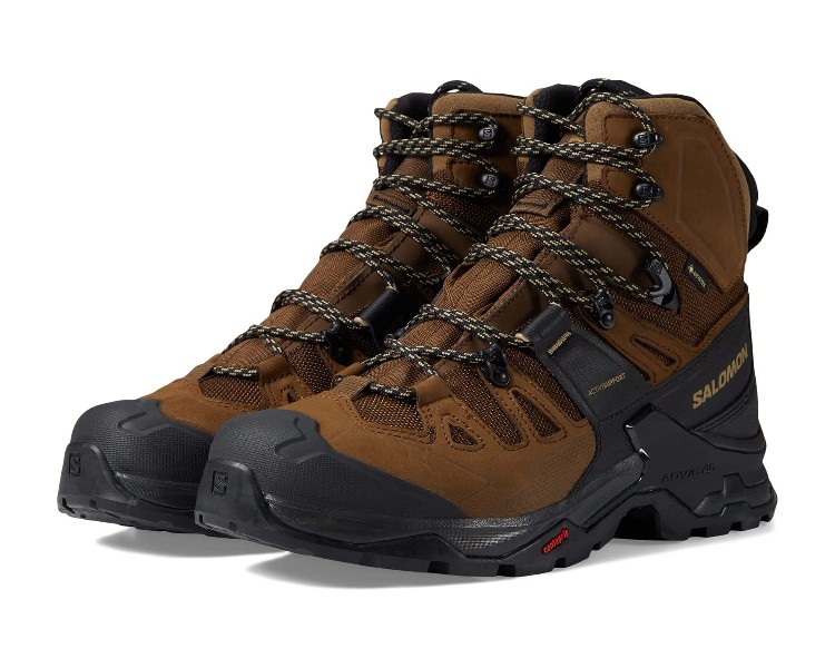 Salomon Quest 4 GTX Boots