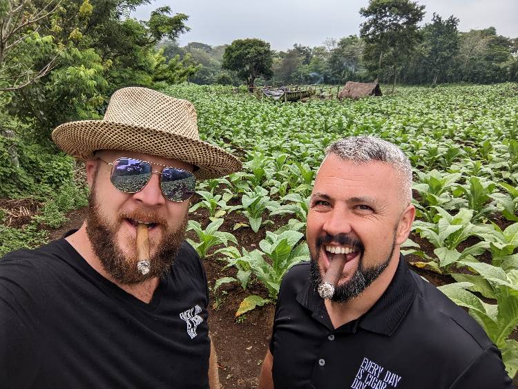 Paul And Andrius In Cigar Tobacco Field