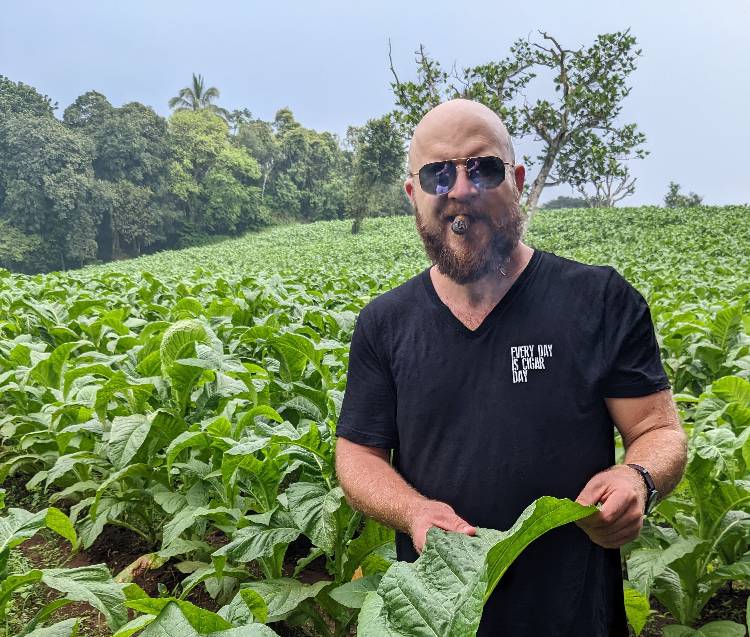 Paul looking at cigar tobacco leaf
