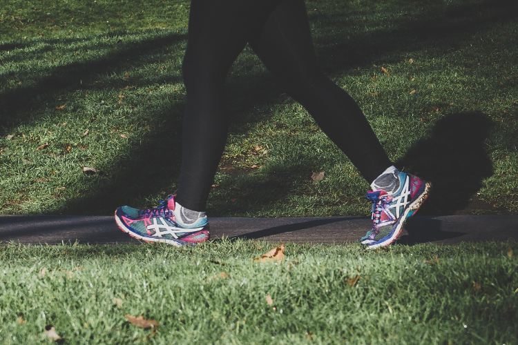 Best Shoes On Zappos For Walking