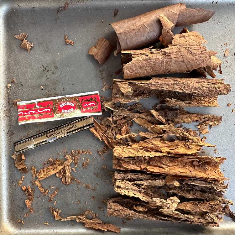 Long Filler Tobacco Inside Record Bond Ed Ltd cigar