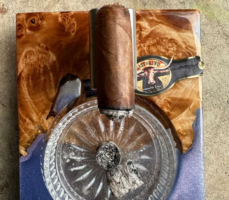 Final Third Of Last Of My Kind